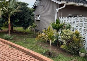 Las Palmas Guest House