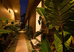 Ubud Wana Villa