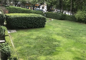 Hotel Grao Vasco