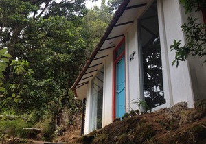 Dantica Cloud Forest Lodge