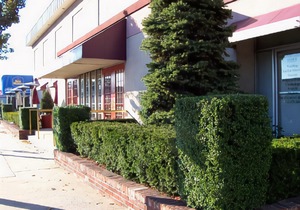 Best Western Mill River Manor