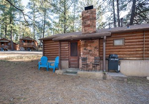 Pine Cabin, 2 Bedrooms, Fireplace, Midtown, Sleeps 6