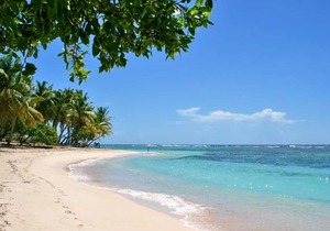 Homerez - 150 m away from the beach! Beautiful bungalow for 4 ppl. at Bouillante