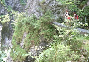 Triple room - TISCHLERHOF