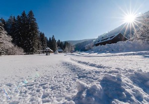 Ferienparadies Wiesenbauer