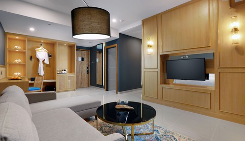ASTON Suite