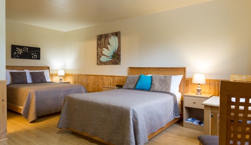 Basic Double Room