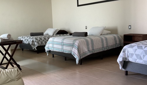 Basic Double Room