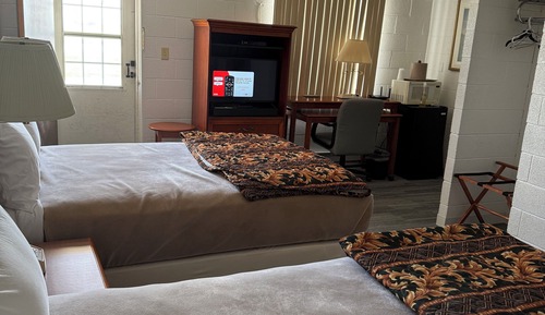 Basic Single Room