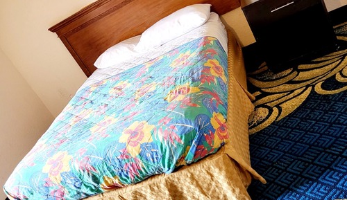 Basic Single Room, 1 Queen Bed