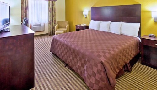 Room, 1 King Bed, Non Smoking