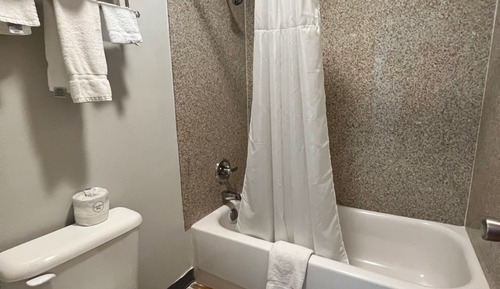 Basic Single Room, 1 Queen Bed
