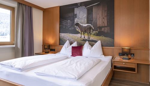 Classic Double Room