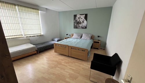 Superior Apartment