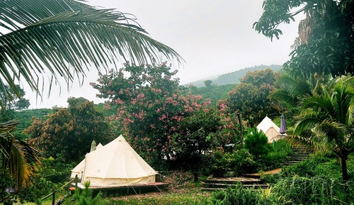 Executive Tent