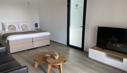 Business Double Room