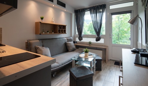 Apartament typu Studio (12)