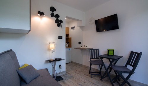 Apartament typu Studio (11)