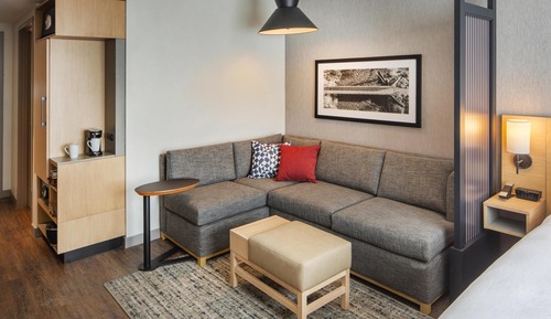 Room, 1 King Bed with Sofa bed