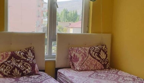 Basic Twin Room