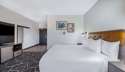 Room, 1 King Bed, Non Smoking (Mobility/Hearing, Roll-In Shower)