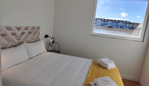 Basic Apartment