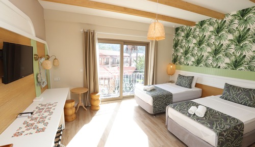 Deluxe Double or Twin Room