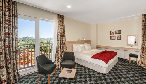 Double Room, Mountain View