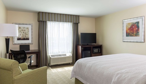 Room, 1 King Bed with Sofa bed, Refrigerator & Microwave