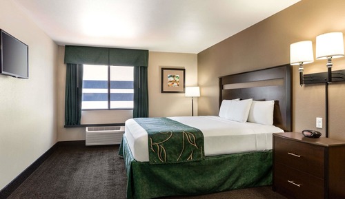 Room, 1 King Bed, Accessible, Non Smoking