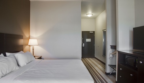 Standard Room, 1 King Bed, Accessible (Communications, Roll-In Shower)