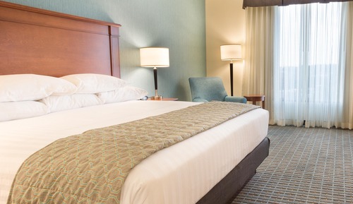 Deluxe Room, 1 King Bed, Accessible, Refrigerator & Microwave (Hearing Accessible, Roll in Shower)