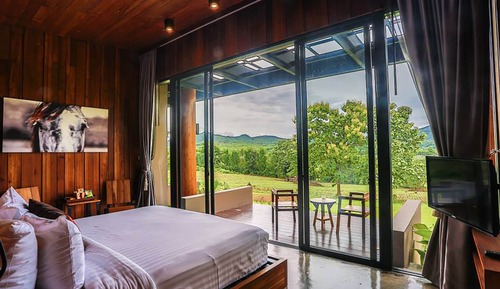 Premier Room