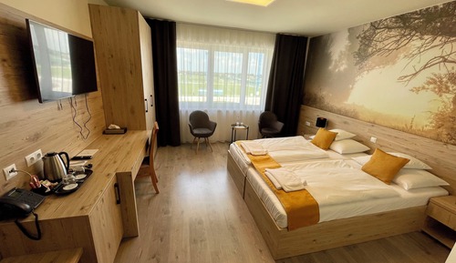 Standard Double or Twin Room