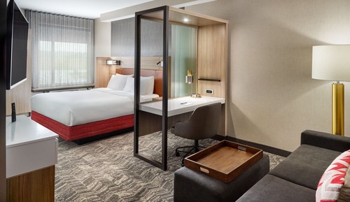 Suite, 1 King Bed with Sofa bed