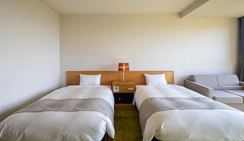 Superior Twin Room - Indoor Bath - Non-Smoking