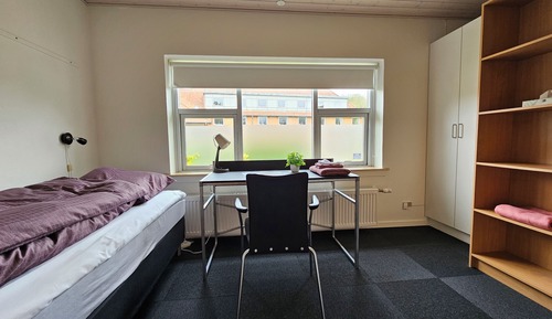 Business Single Room