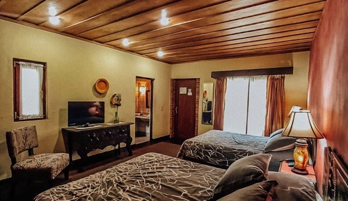 Junior Suite, Garden View
