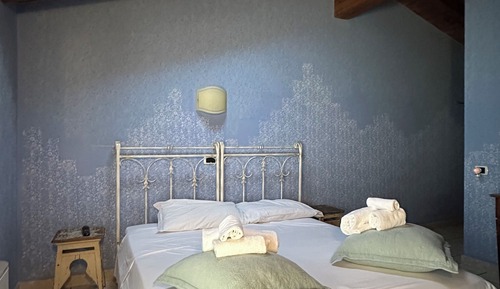 Basic Twin Room