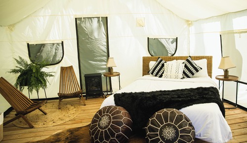 Basic Tent