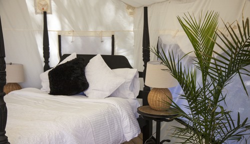 Junior Tent