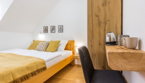 Basic Double Room