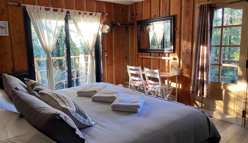 Design Triple Room