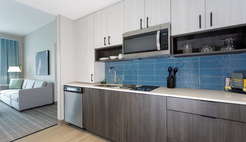 Studio Suite, 1 King Bed, Roll-in Shower, Kitchen (Roll-In Shower)