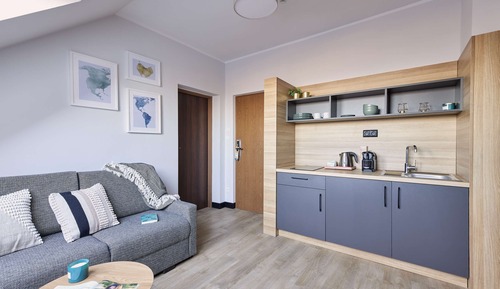 Studio, 1 Queen Bed with Sofa bed