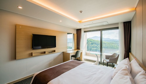 Superior Double Room (No Parking Available)