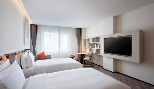 Deluxe Twin Size Room