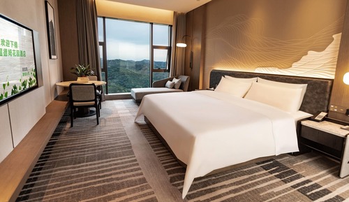 Deluxe Room, 1 King Bed, Mountain View
