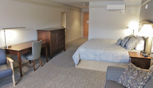 Standard Room, 1 Queen Bed with Sofa bed