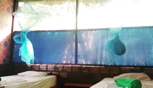 Family Twin Room